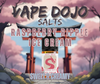 Vape Dojo Salts - Raspberry Ripple Ice Cream Flavored Synthetic Nicotine Solution